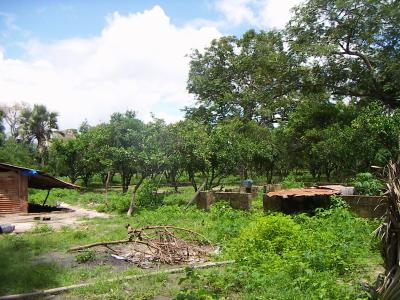 notre village